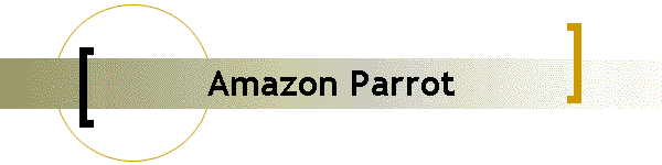 Amazon Parrot