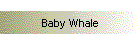 Baby Whale