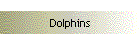 Dolphins