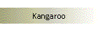 Kangaroo