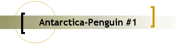 Antarctica-Penguin #1