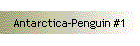 Antarctica-Penguin #1