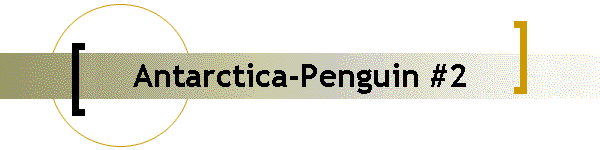 Antarctica-Penguin #2